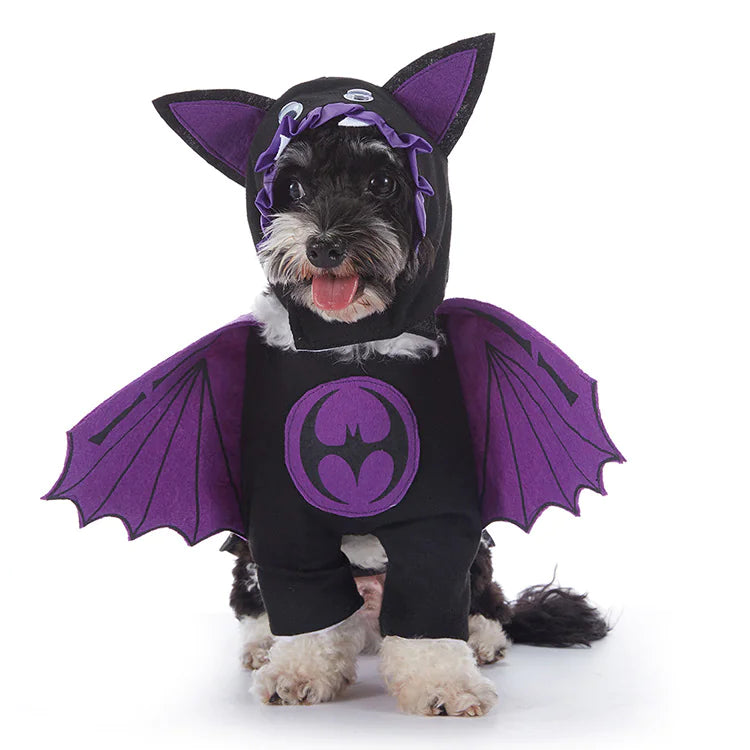 Paw Control - Halloween Dog Costumes