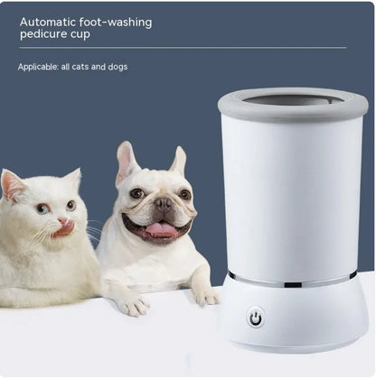 Buy pet supplies online

Best pet store online

Dog food delivery

Cat food subscription

Organic dog treats

Natural cat treats

Luxury dog beds

Orthopedic dog bed

Durable dog toys

Interactive cat toys

Dog grooming kit

Cat scratching post

Automatic pet feeder

Pet carriers for travel

Personalized pet accessories