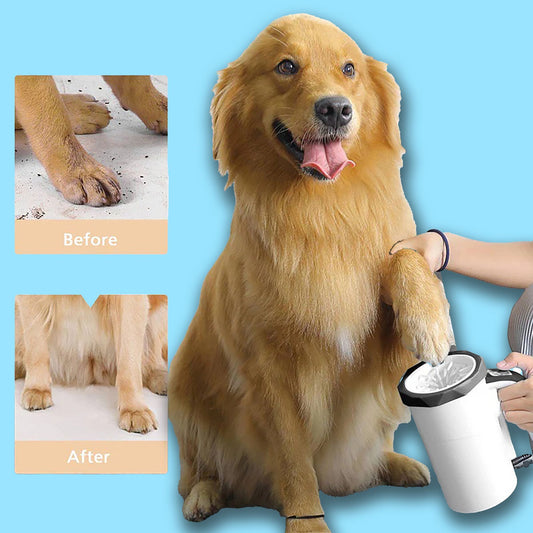 Buy pet supplies online

Best pet store online

Dog food delivery

Cat food subscription

Organic dog treats

Natural cat treats

Luxury dog beds

Orthopedic dog bed

Durable dog toys

Interactive cat toys

Dog grooming kit

Cat scratching post

Automatic pet feeder

Pet carriers for travel

Personalized pet accessories