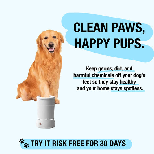 Buy pet supplies online

Best pet store online

Dog food delivery

Cat food subscription

Organic dog treats

Natural cat treats

Luxury dog beds

Orthopedic dog bed

Durable dog toys

Interactive cat toys

Dog grooming kit

Cat scratching post

Automatic pet feeder

Pet carriers for travel

Personalized pet accessories
