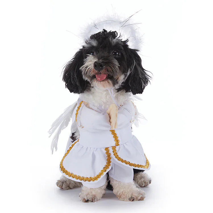 Paw Control - Halloween Dog Costumes