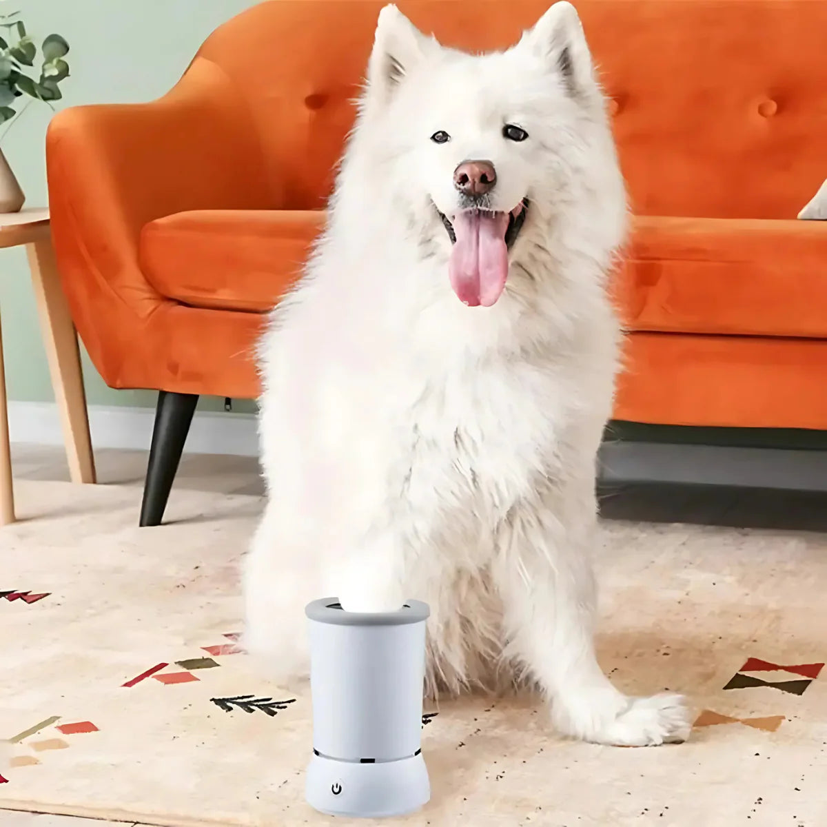 Buy pet supplies online

Best pet store online

Dog food delivery

Cat food subscription

Organic dog treats

Natural cat treats

Luxury dog beds

Orthopedic dog bed

Durable dog toys

Interactive cat toys

Dog grooming kit

Cat scratching post

Automatic pet feeder

Pet carriers for travel

Personalized pet accessories