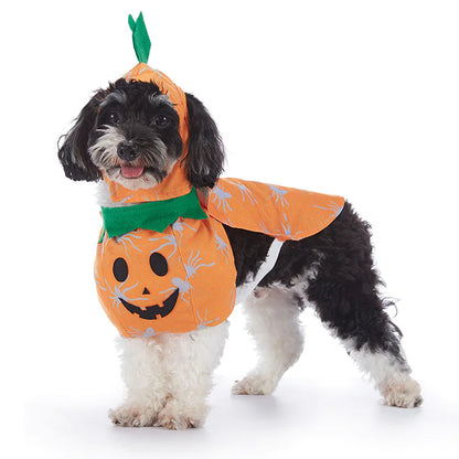 Paw Control - Halloween Dog Costumes